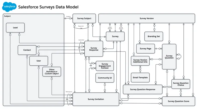 Salesforce Surveys